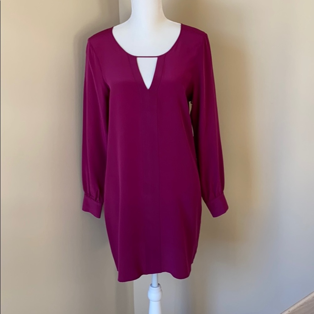 🆕 Cranberry Shift Dress